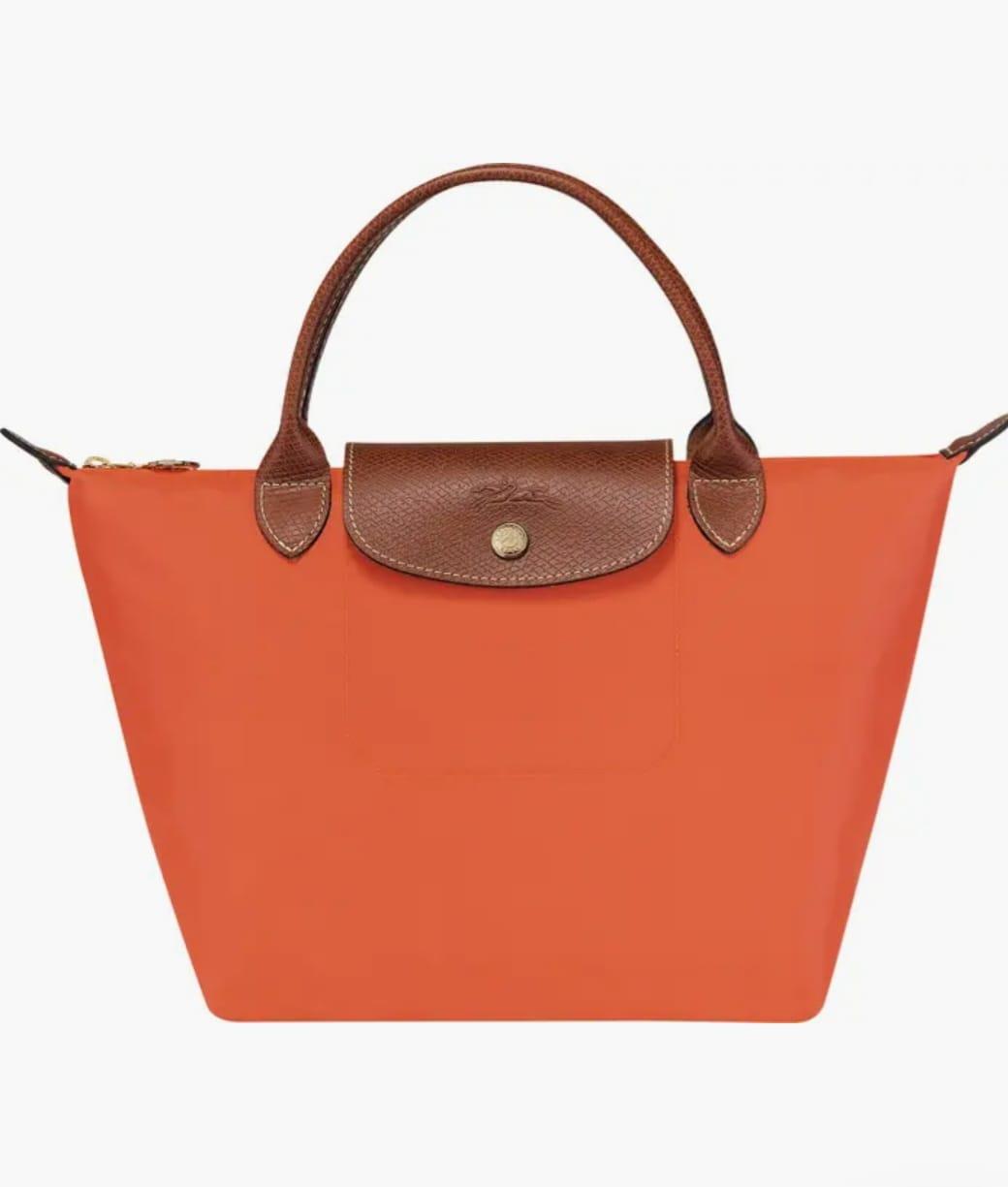 Mini pliage longchamp outlet