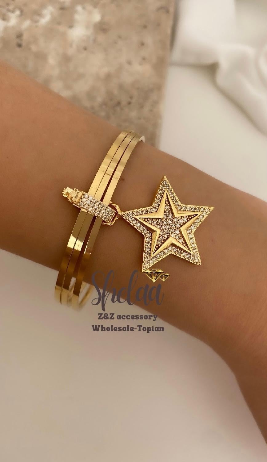 10697 Ajda Charm
