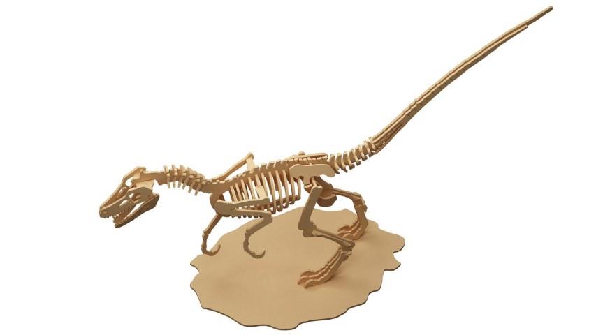 İleri Seviye DinazorlarVelosiraptör Dinazor Maketi | İleri Seviye3D Sergi
