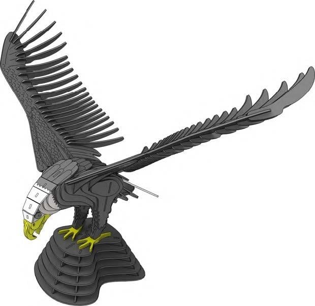 İleri Seviye Hayvan BaşlarıKartal 2 Kuş Maketi | İleri Seviye3D Sergi