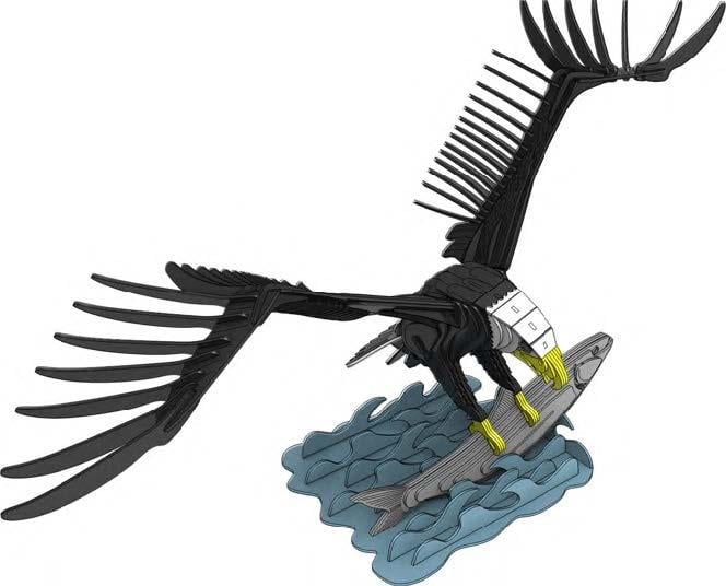 İleri Seviye Hayvan BaşlarıKartal Kuş Maketi | İleri Seviye3D Sergi