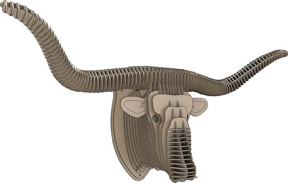 İleri Seviye Hayvan BaşlarıTeksas Sığırı Hayvan Başı Maketi | İleri Seviye3D Sergi