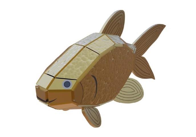 Orta Seviye Deniz CanlılarıAltın Balık Maketi | Orta Seviye3D Sergi
