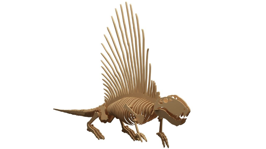 Orta Seviye DinazorlarDimetrodon Dinazor Maketi | Orta Seviye3D Sergi