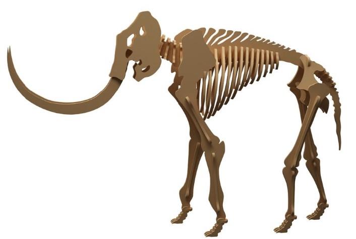 Orta Seviye DinazorlarMamut Dinazor Maketi | Orta Seviye3D Sergi