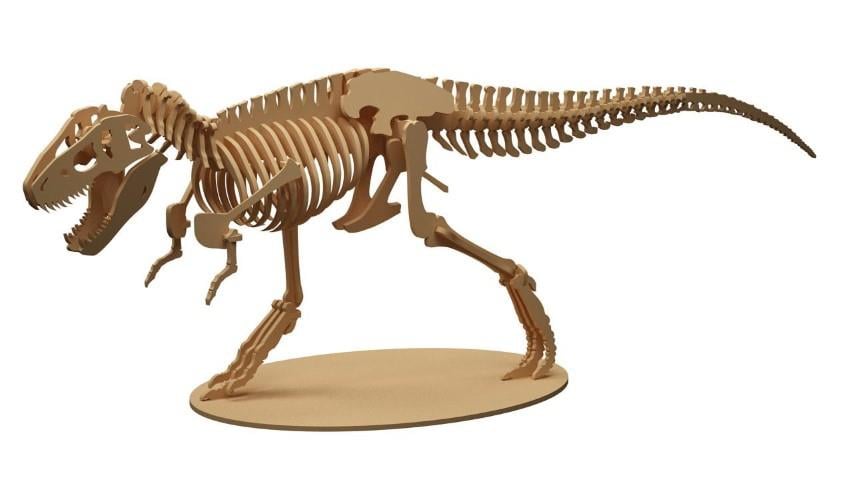 Orta Seviye DinazorlarT-REX Dinazor Maketi | Orta Seviye3D Sergi