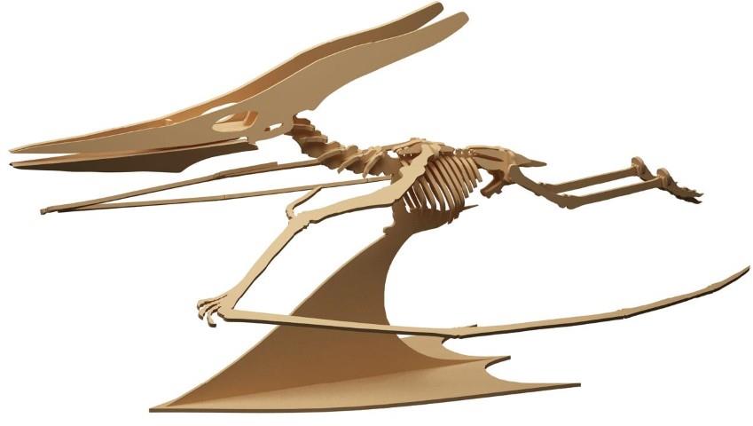 Orta Seviye DinazorlarTerodaktil Dinazor Maketi | Orta Seviye3D Sergi