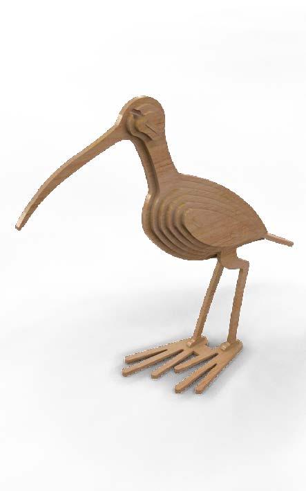 Orta Seviye Kuş TürleriÇulluk Kuş Maketi | Orta Seviye3D Sergi