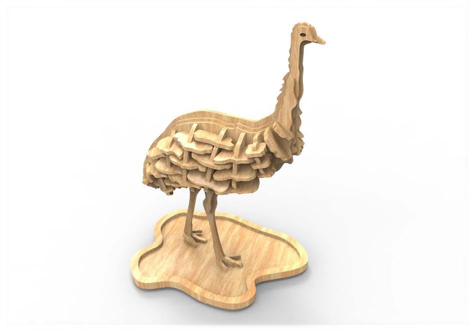 Orta Seviye Kuş TürleriDeve Kuşu Kuş Maketi | Orta Seviye3D Sergi