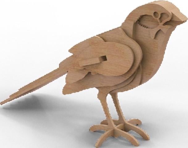 Orta Seviye Kuş TürleriSerçe Kuş Maketi | Orta Seviye3D Sergi