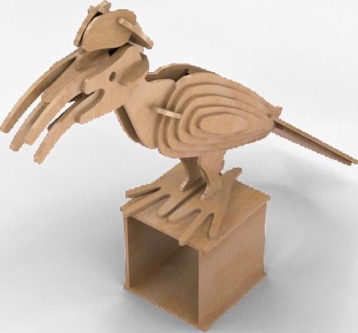 Orta Seviye Kuş TürleriSümsük Kuşu Kuş Maketi | Orta Seviye3D Sergi