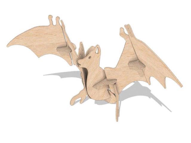 Orta Seviye Kuş TürleriYarasa Kuş Maketi | Orta Seviye3D Sergi