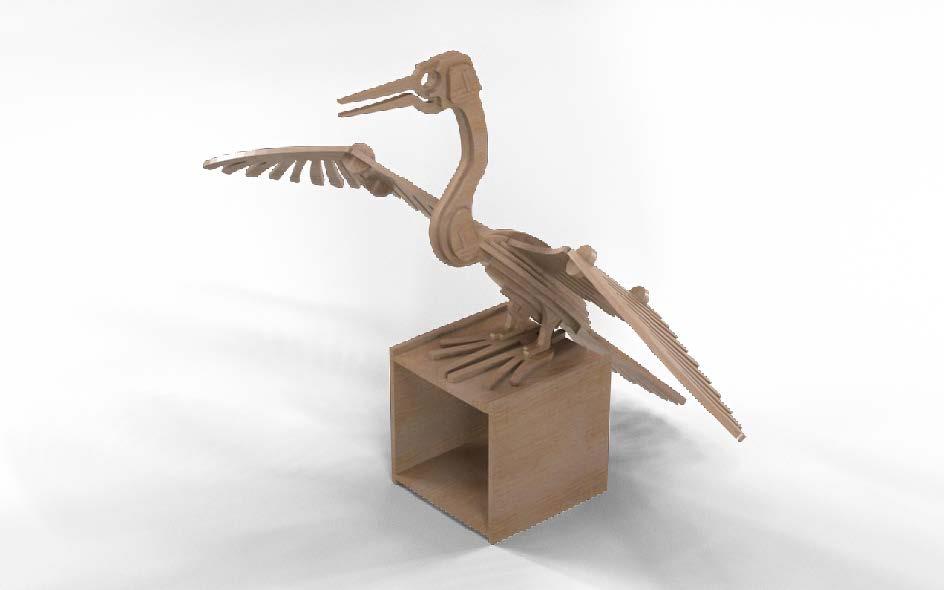 Orta Seviye Kuş TürleriYılan Boyunlu Kuş Maketi | Orta Seviye3D Sergi