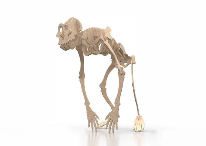 Orta Seviye Yabani HayvanlarŞempanze Yabani Hayvan Maketi | Orta Seviye3D Sergi