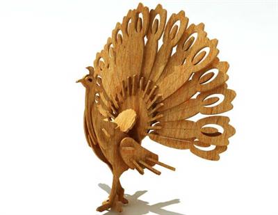 İleri Seviye Kuş TürleriTavus Kuşu Kuş Maketi | İleri Seviye3D Sergi