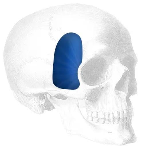 TEMPORAL SHELL - EXTENDED