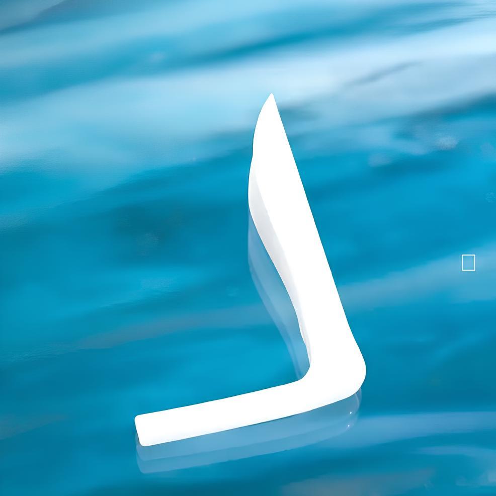 VOLOSHIN DORSAL COMUMELLA