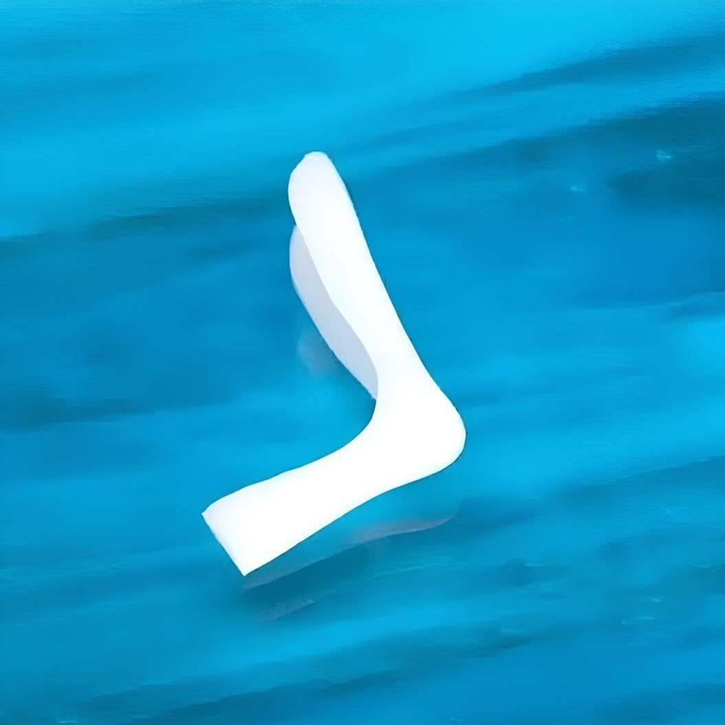 ANATOMICAL NASAL IMPLANT