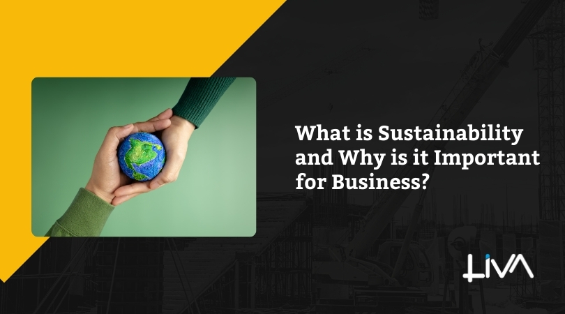 What is Sustainability and Why is it Important for Business?