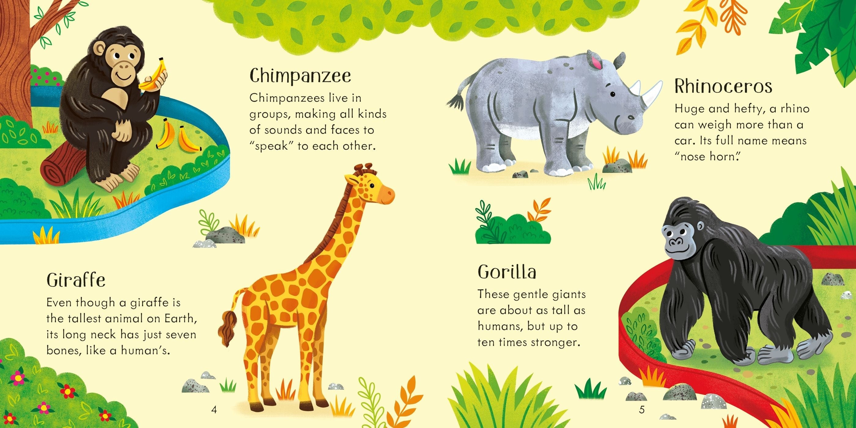 Usborne Publishing Zoo Matching Games and Book