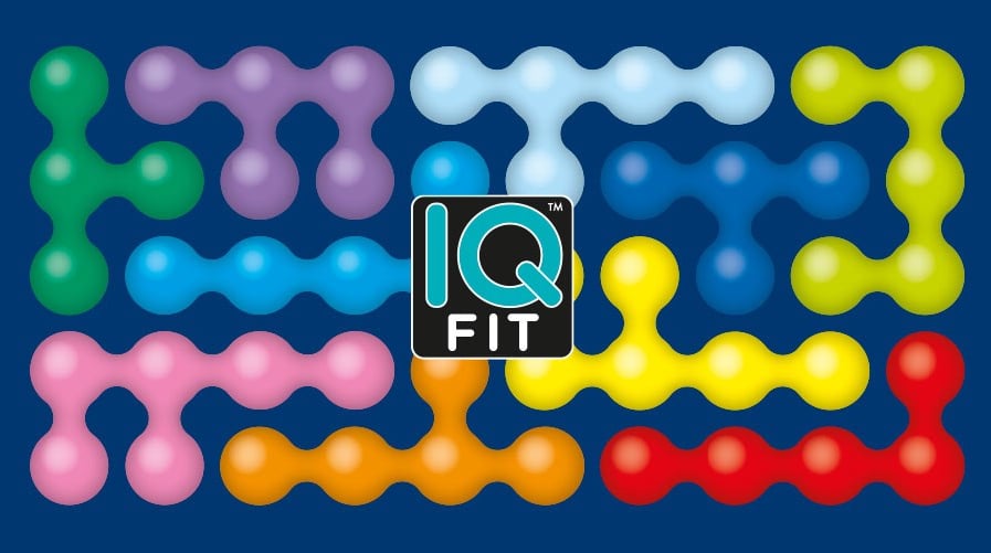 Smart Games IQ FIT