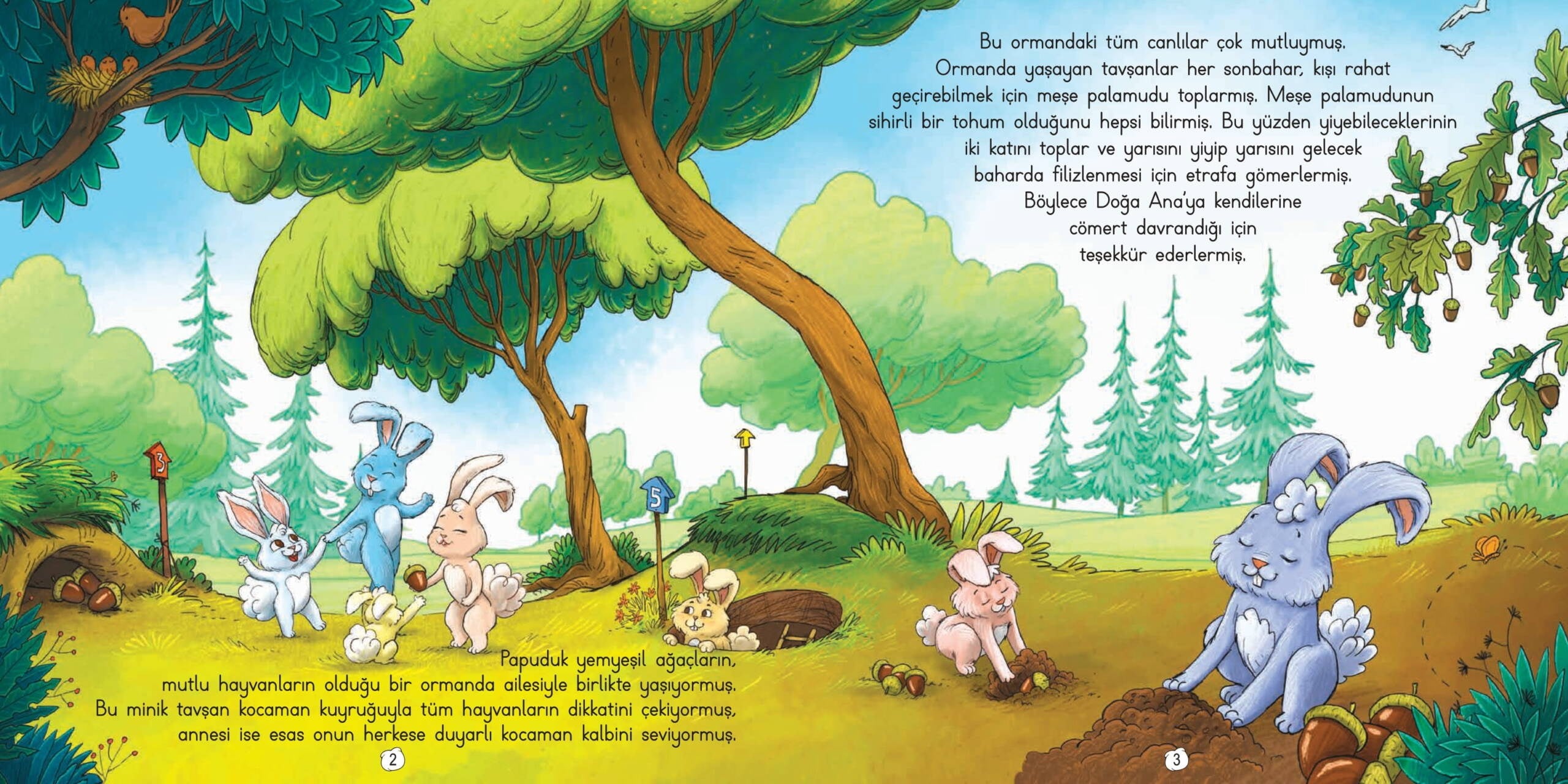 Tekir Kitap Papuduk ile Süslü Kral