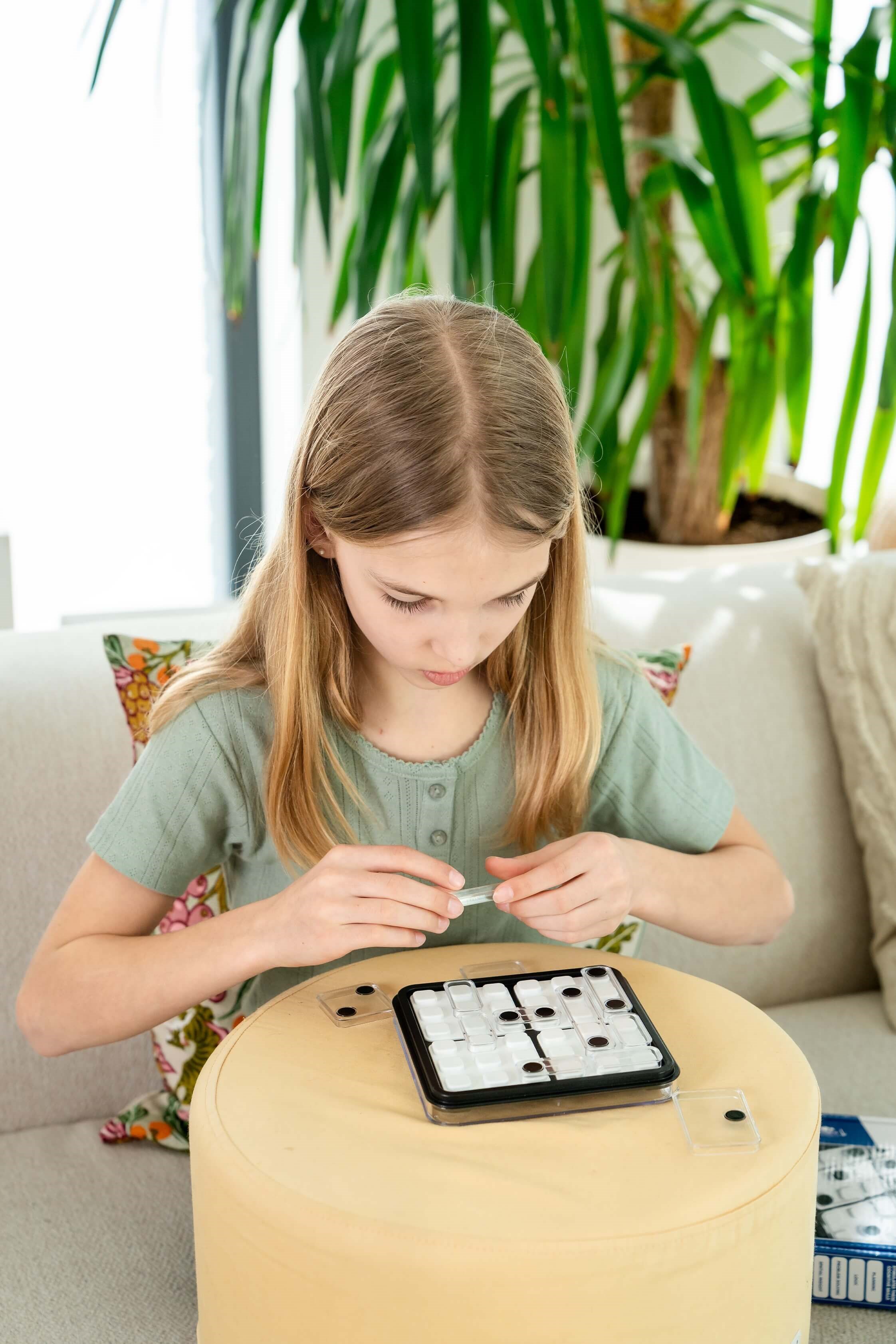 Smart Games Dice Deduction