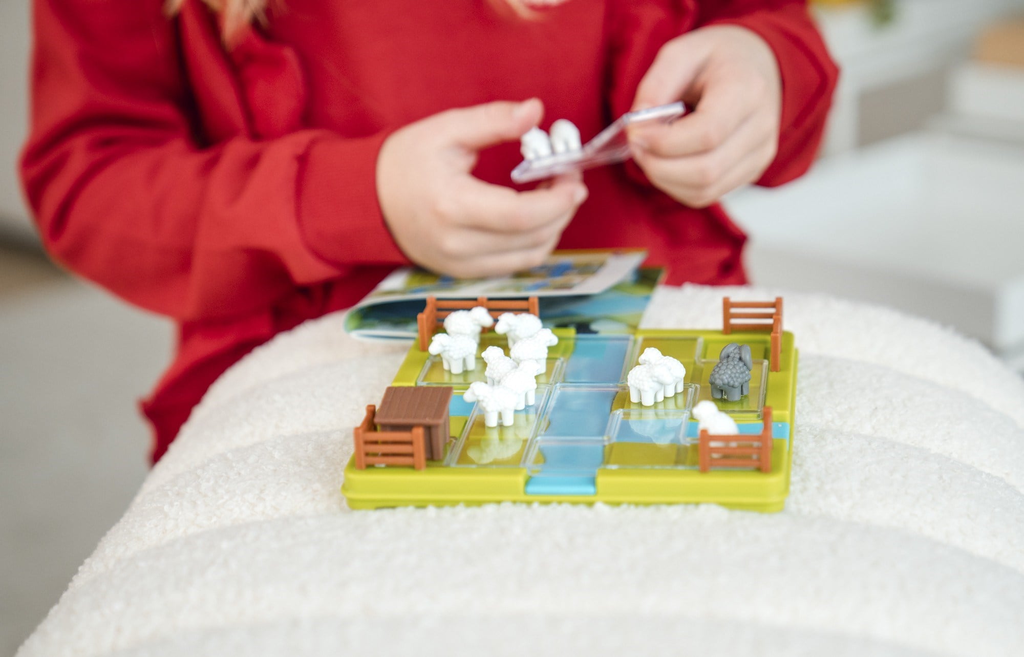 Smart Games Counting Sheep