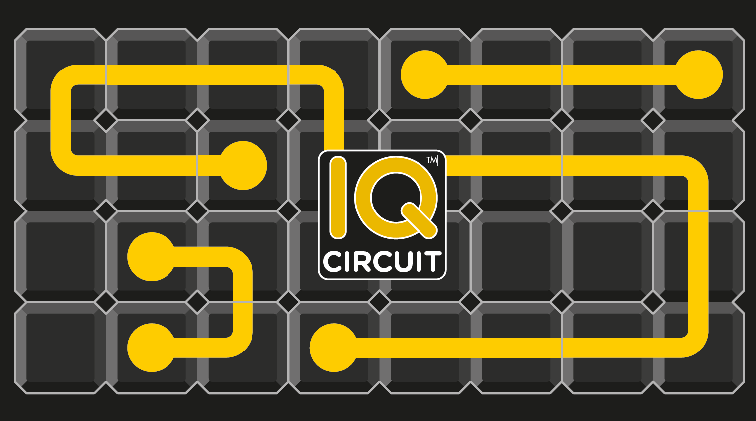 Smart Games IQ CIRCUIT