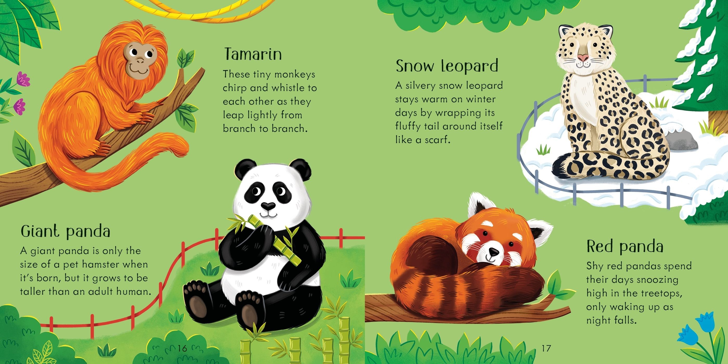 Usborne Publishing Zoo Matching Games and Book