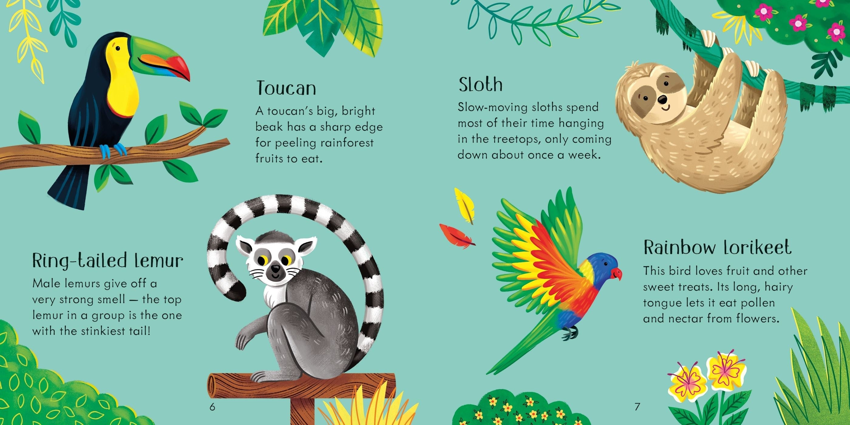 Usborne Publishing Zoo Matching Games and Book