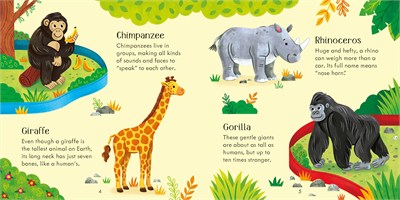 Usborne Publishing Zoo Matching Games and Book