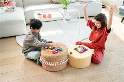 Smart Games Genius Connection