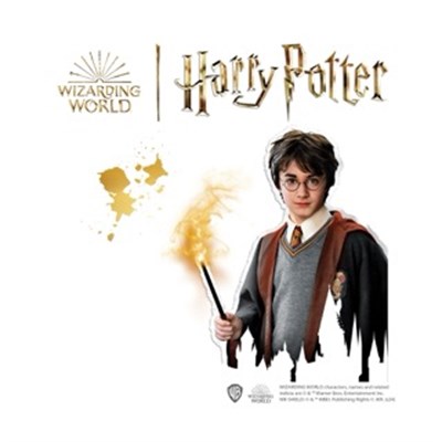 SES Creative Harry Potter - Kalıba Dök ve Boya