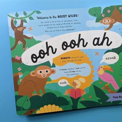 North Parade Publishing Wilds İngilizce Sesli Kitap  (10 Button)