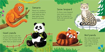 Usborne Publishing Zoo Matching Games and Book