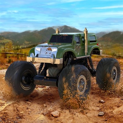 Driven Grizzly