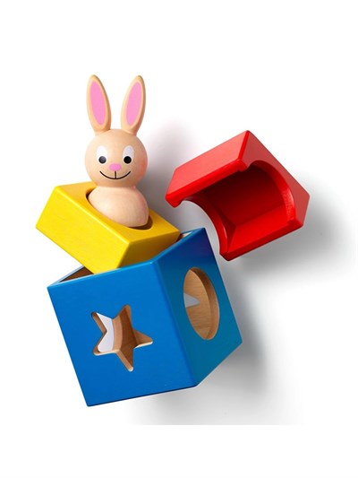 Smart Games Bunny Boo