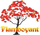 Flamboyan