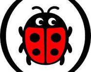 Ladybird