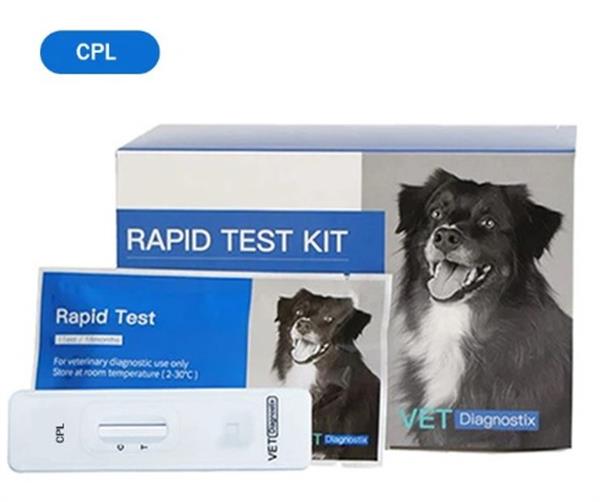 Canine cPL Test