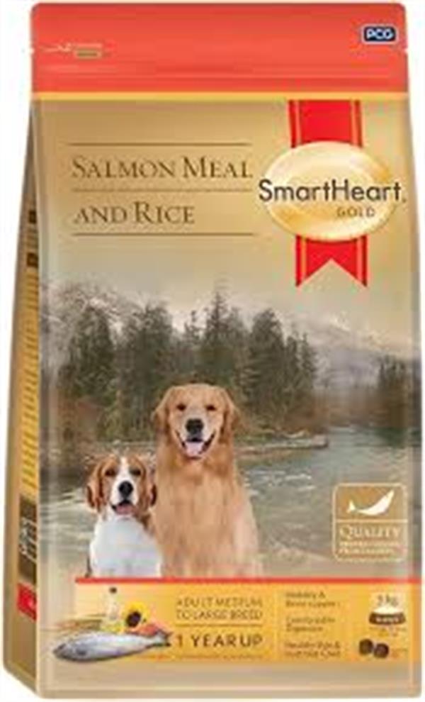 SHG ADULT M TO L BREED SALMON&RİCE 15 KG    