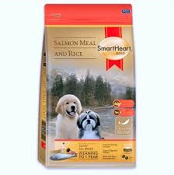 SHG PUPPY ALL BREEDS SALMON&RİCE 15 KG        