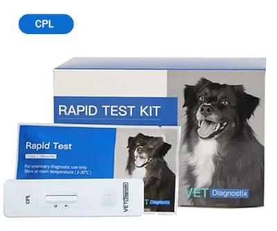 Canine cPL Test