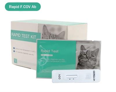 Felivet FCoV Ab Test