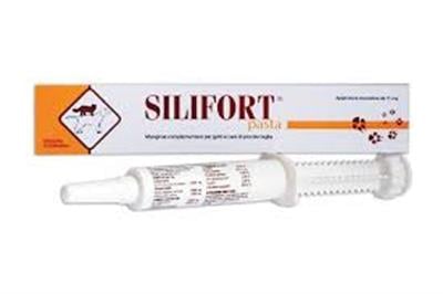 SILIFORT PASTA 30 GR