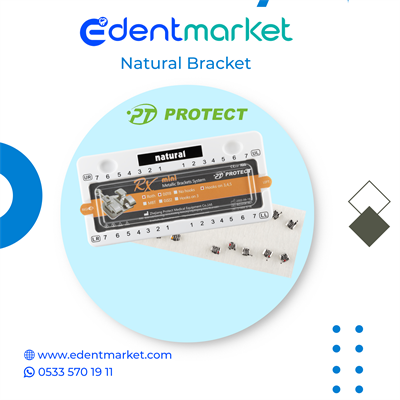 Natural Metal Braket 