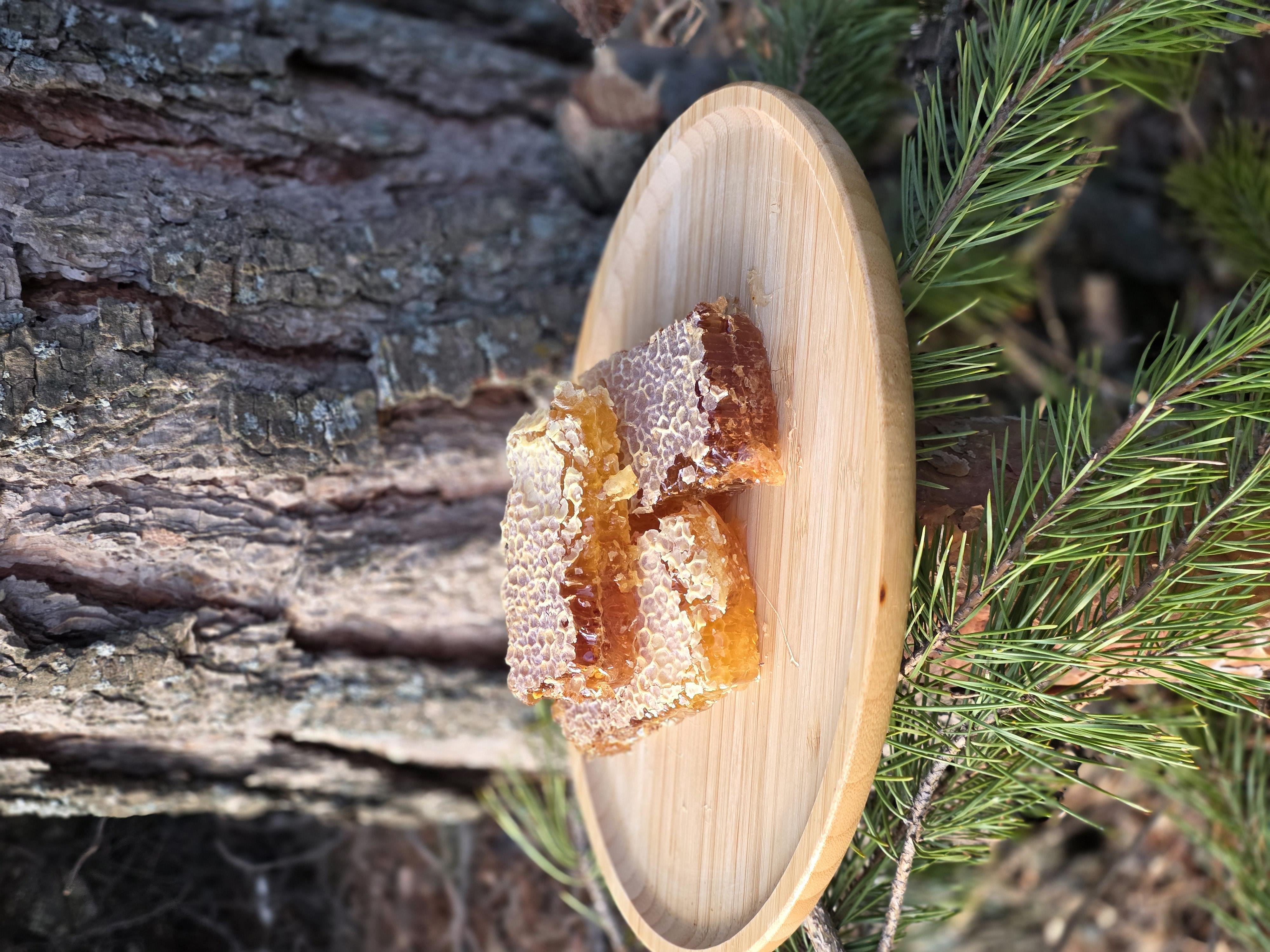 Bayburt Petek Balı 1 kg