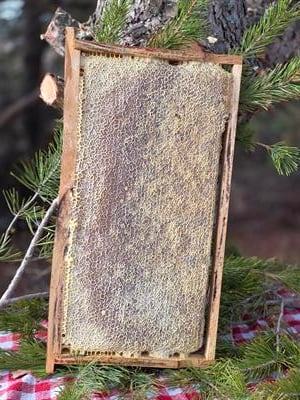 Bayburt Petek Balı 1 kg