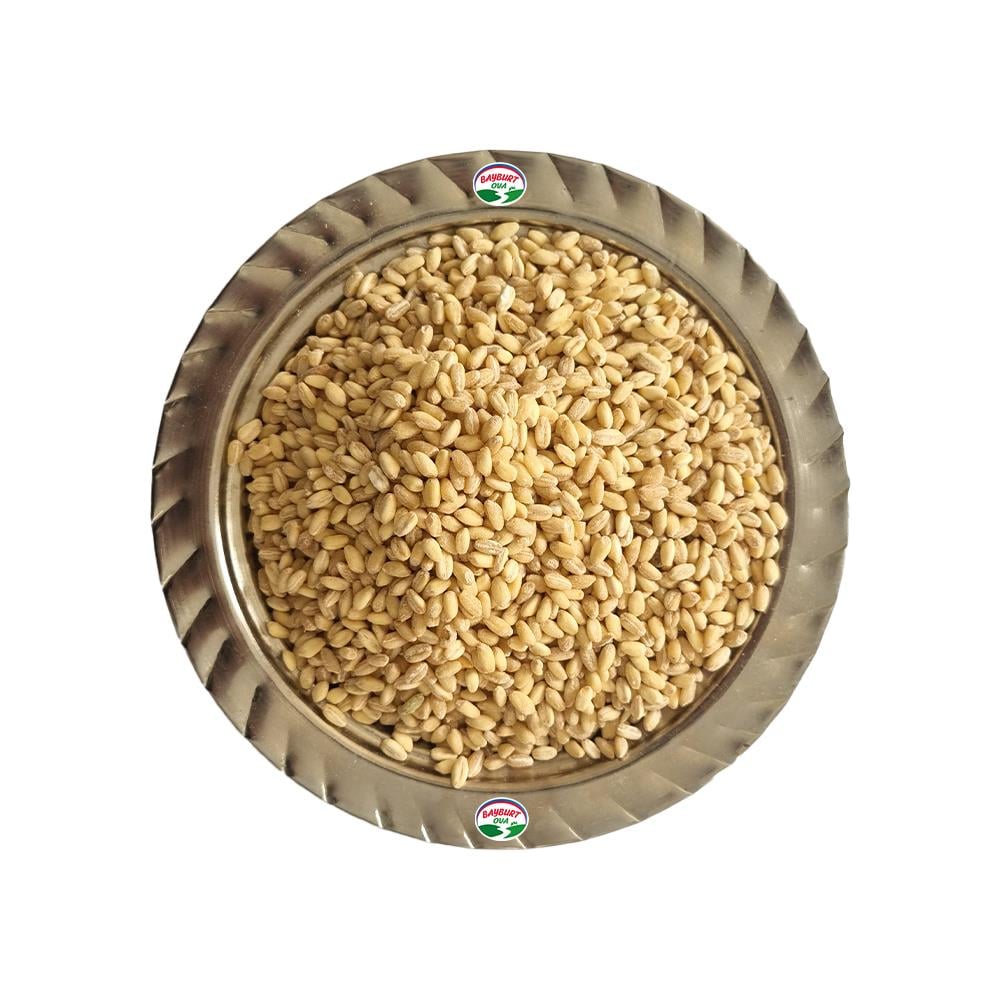 gendirme-1000g--8715-.jpg